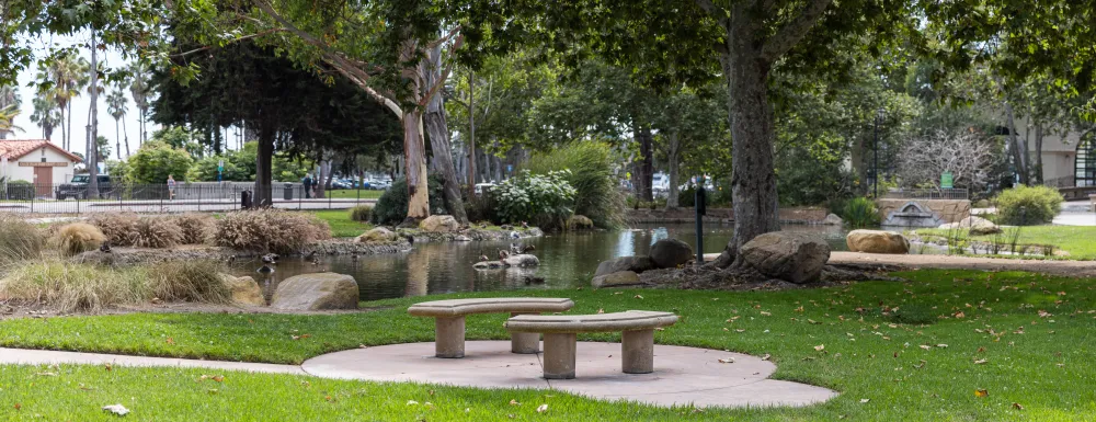 Chase Palm Park with bench in foreground and pond in background