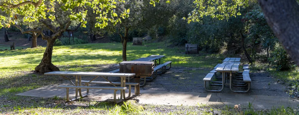 Skofield Park Picnic Area B