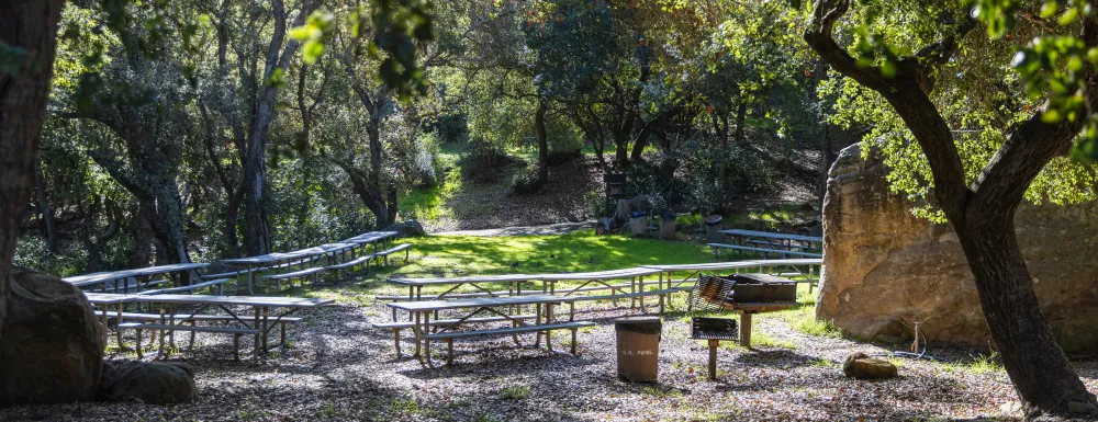 Skofield Park Picnic Area C