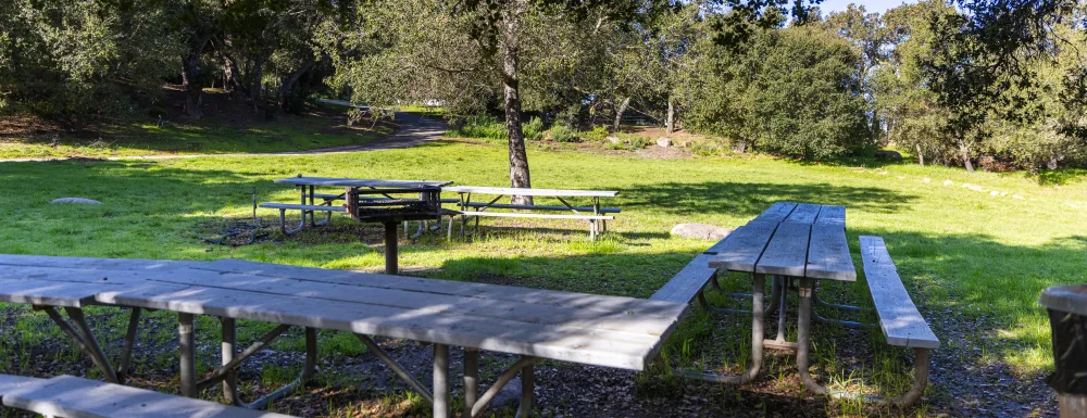 Skofield Park Picnic Area D