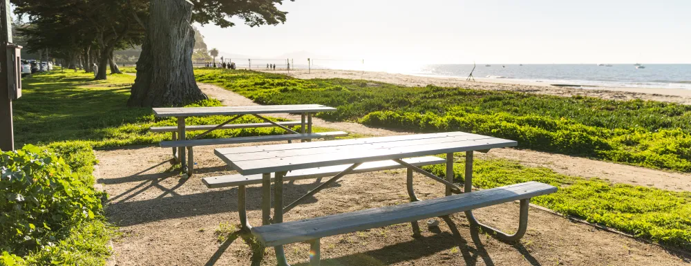 Picnic Site 1 at East Beach