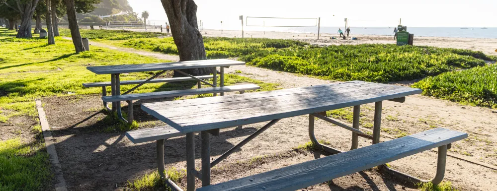 Picnic Site 2 at East Beach