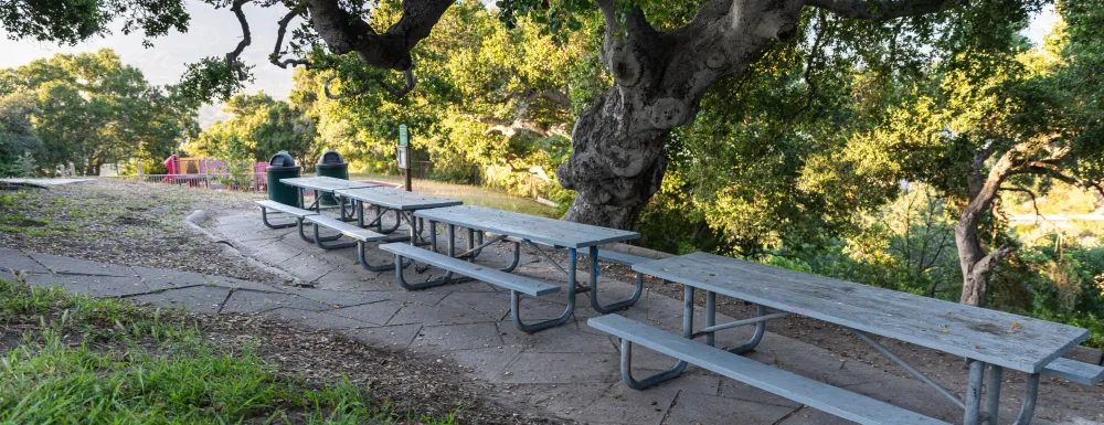 Picnic site at Hilda Ray McIntyre Park