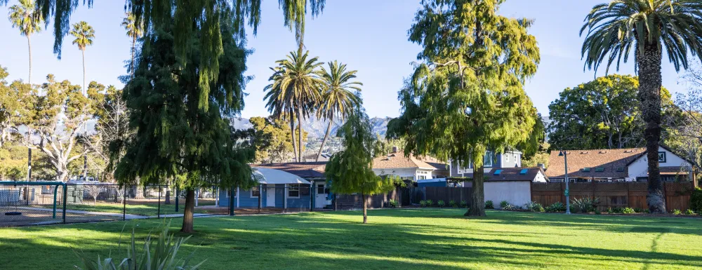 Grassy area with trees at Plaza de Vera Cruz