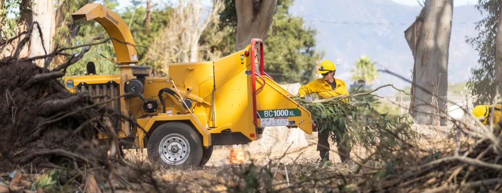 Crew adds pruned eucalyptus branches to a chipper