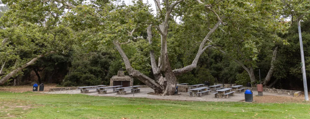 Oak Park Sycamore Picnic Area
