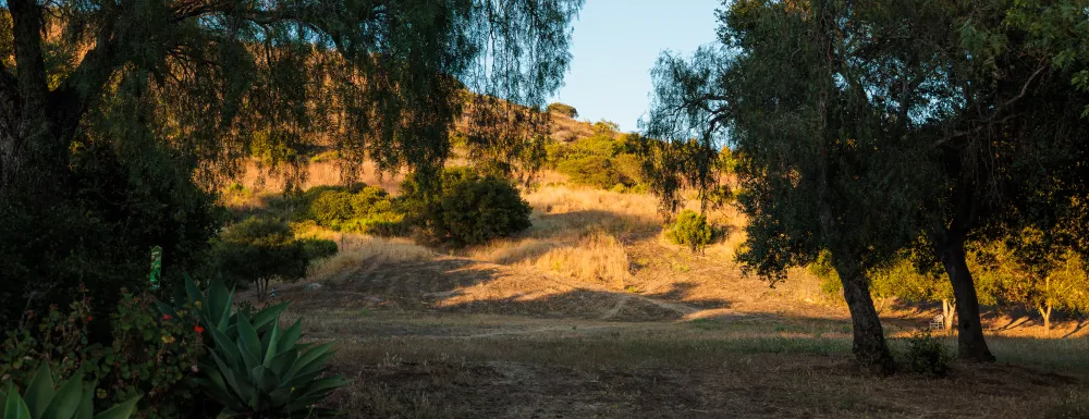 Laurel Canyon Park at sunset