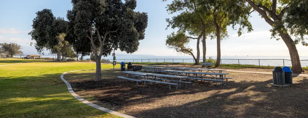 Shoreline Park Picnic Area