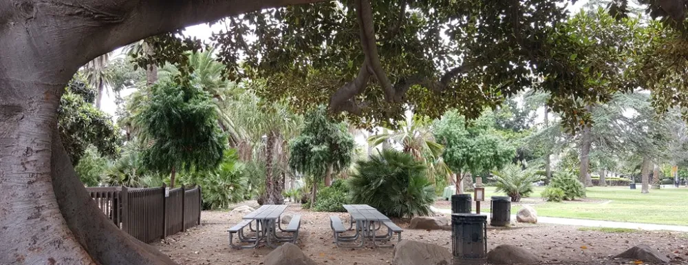 Alameda Harriet.jpg