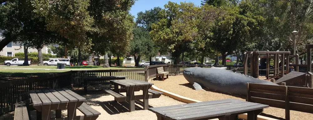 Alameda Whale.jpg