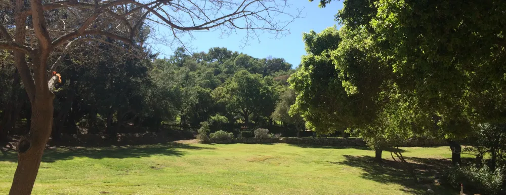 Skofield Park is a 35 acres natural open space preserve and city park located within Santa Barbara.