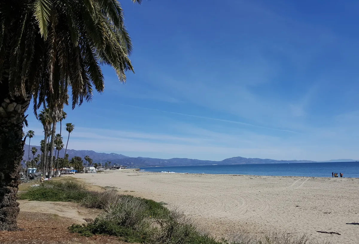 Leadbetter West Area