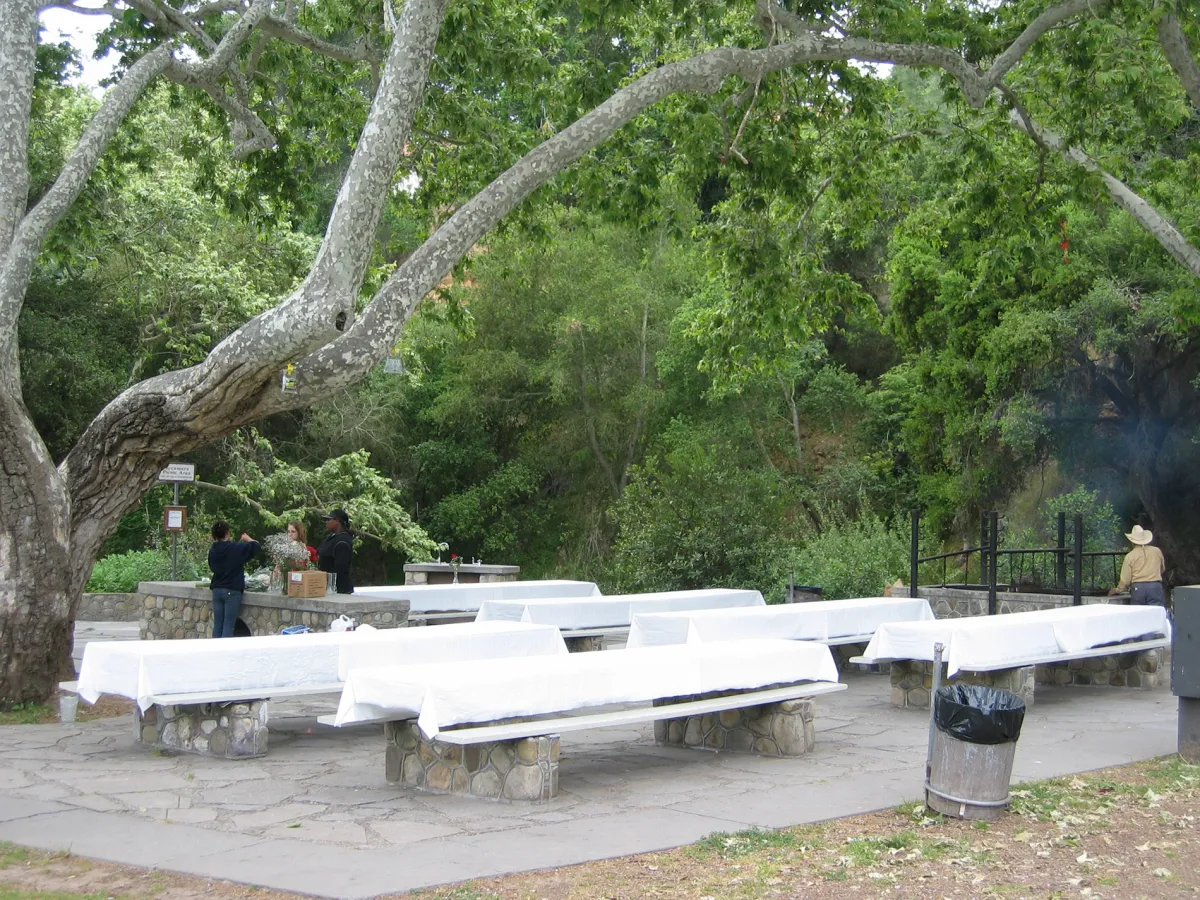 Sycamore Picnic Area at Oak Park party