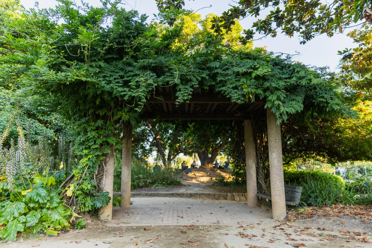 Park bench underneath green vines and foliage