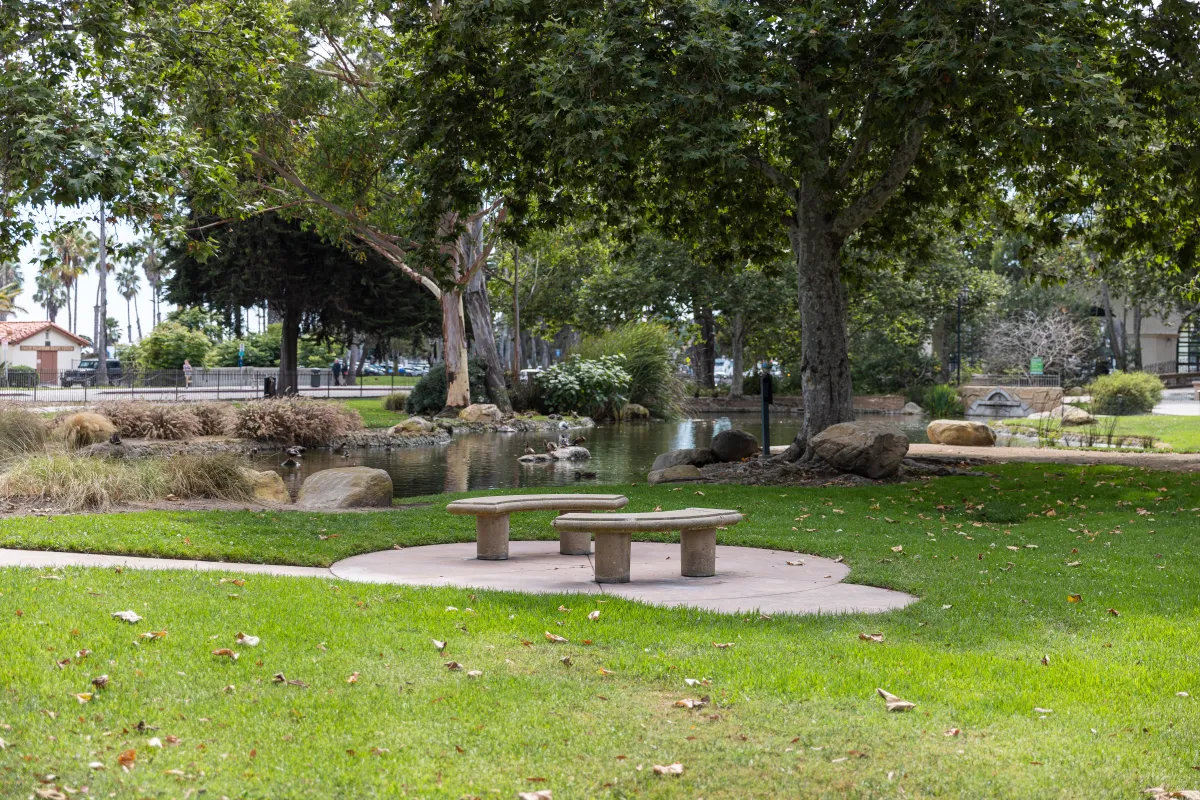Chase Palm Park with bench in foreground and pond in background