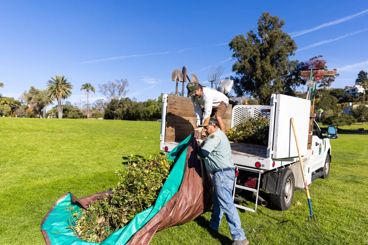 Volunteers work on rose bushes as Mission Historical Park