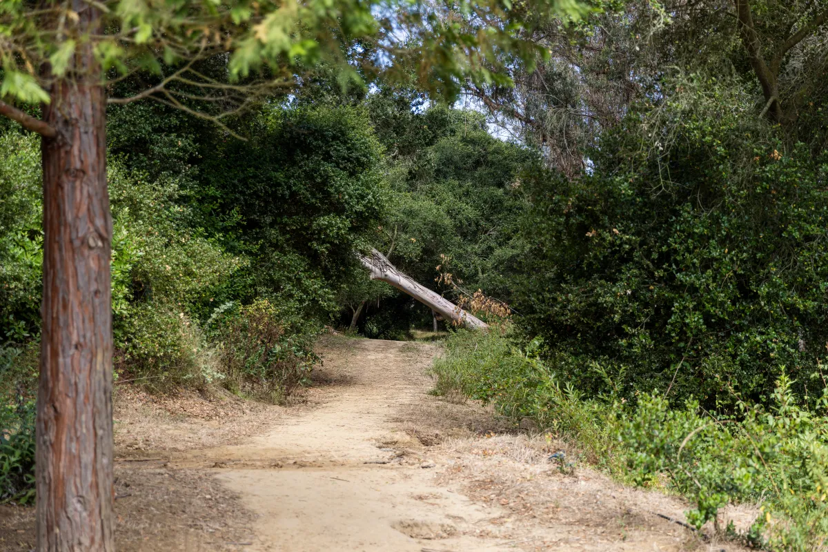 Honda Valley Park.JPG