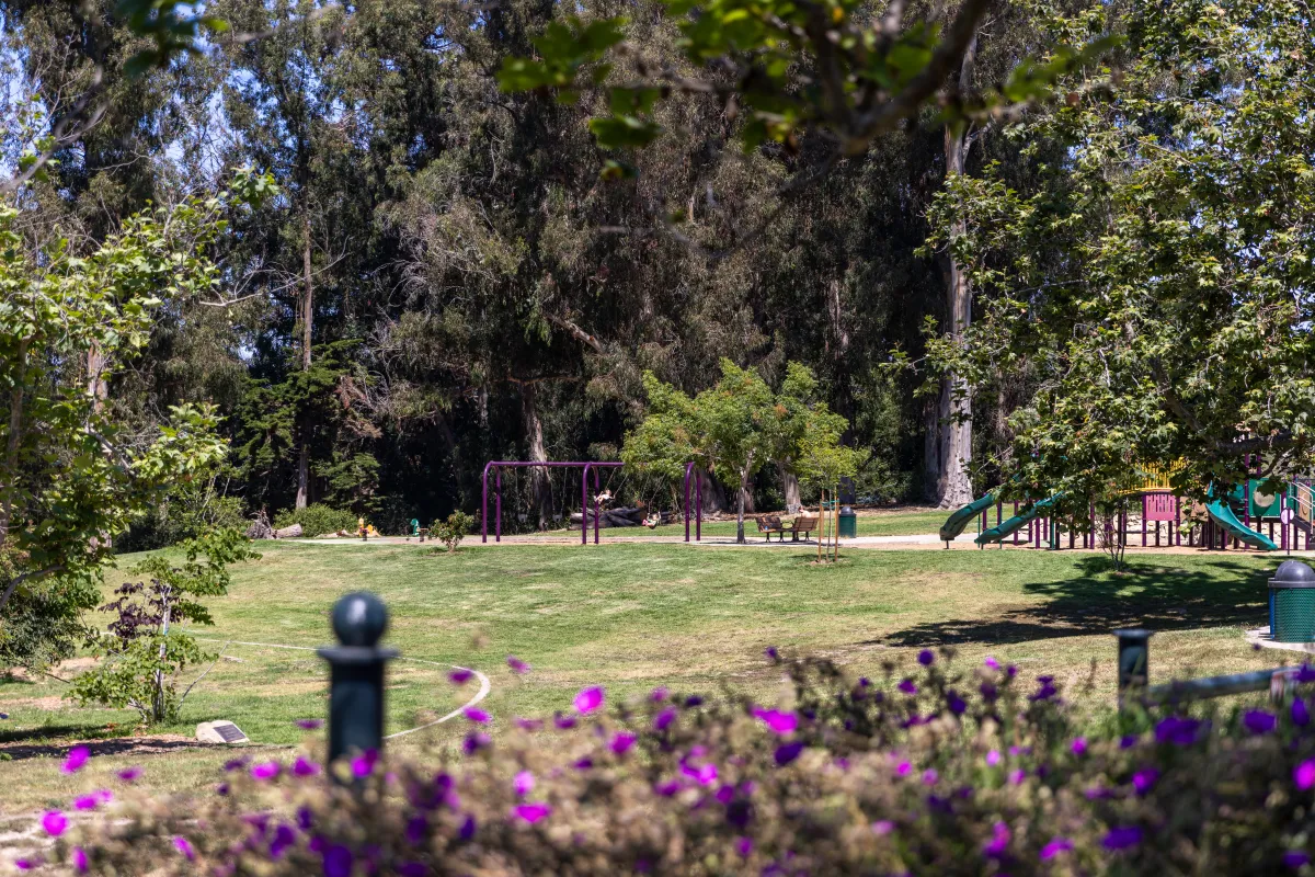 La Mesa Park grass, flowers, and playground