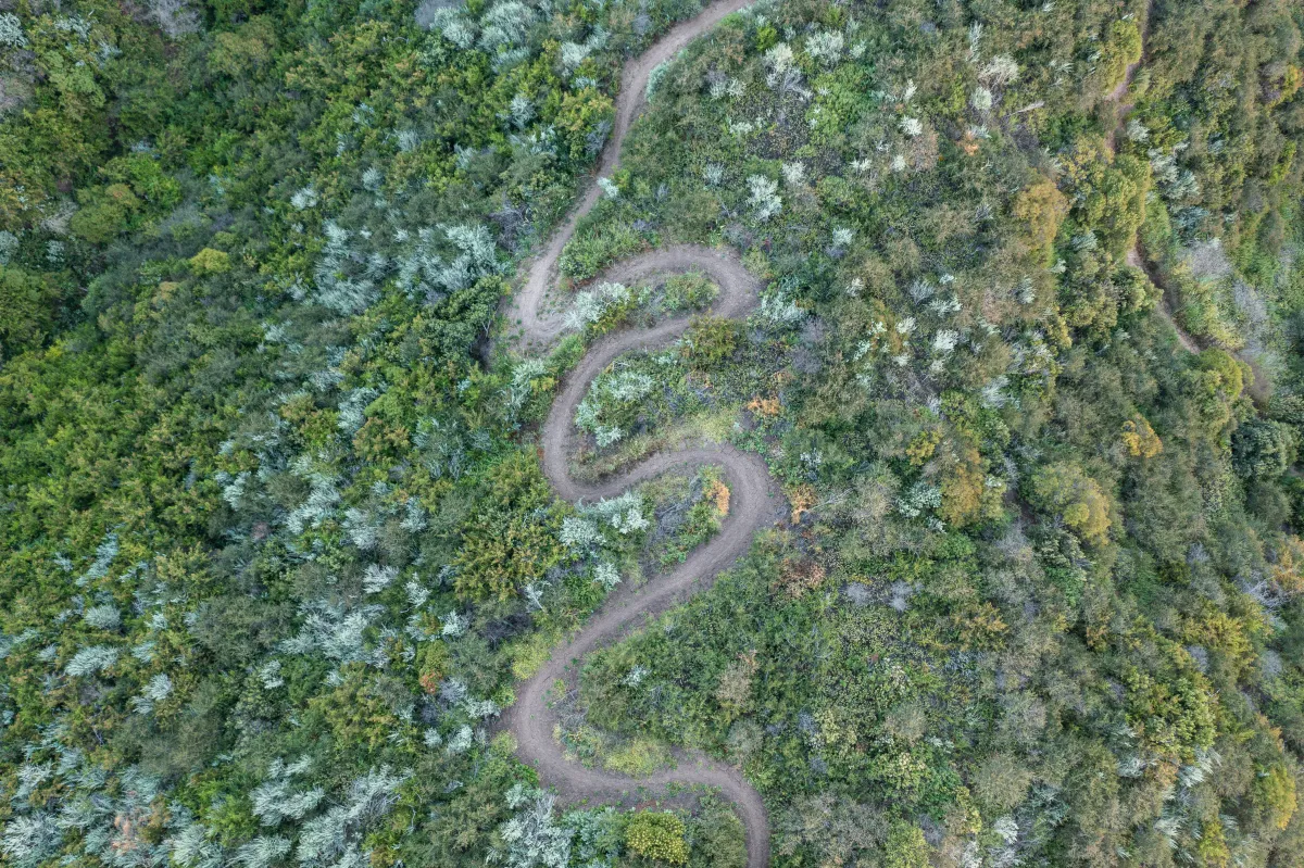 An aerial view of a winding trail in Parma Park