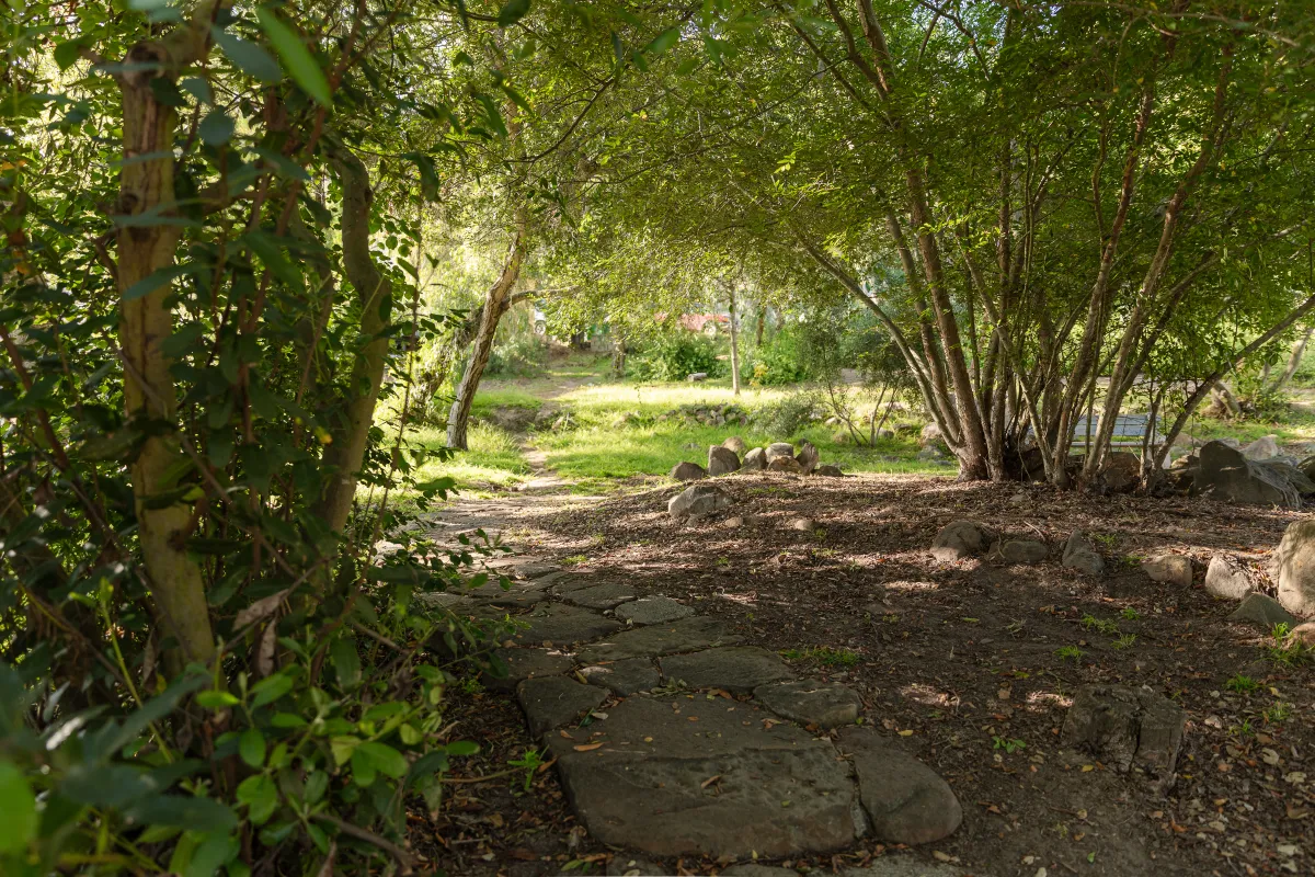 Shaded walking path through Sylvan Park