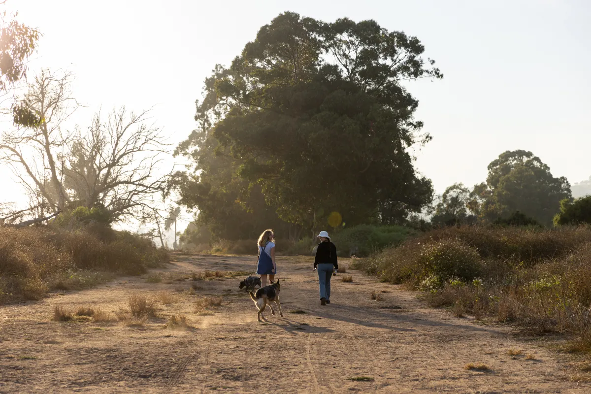 Two people walking their dogs at Douglas Family Preserve