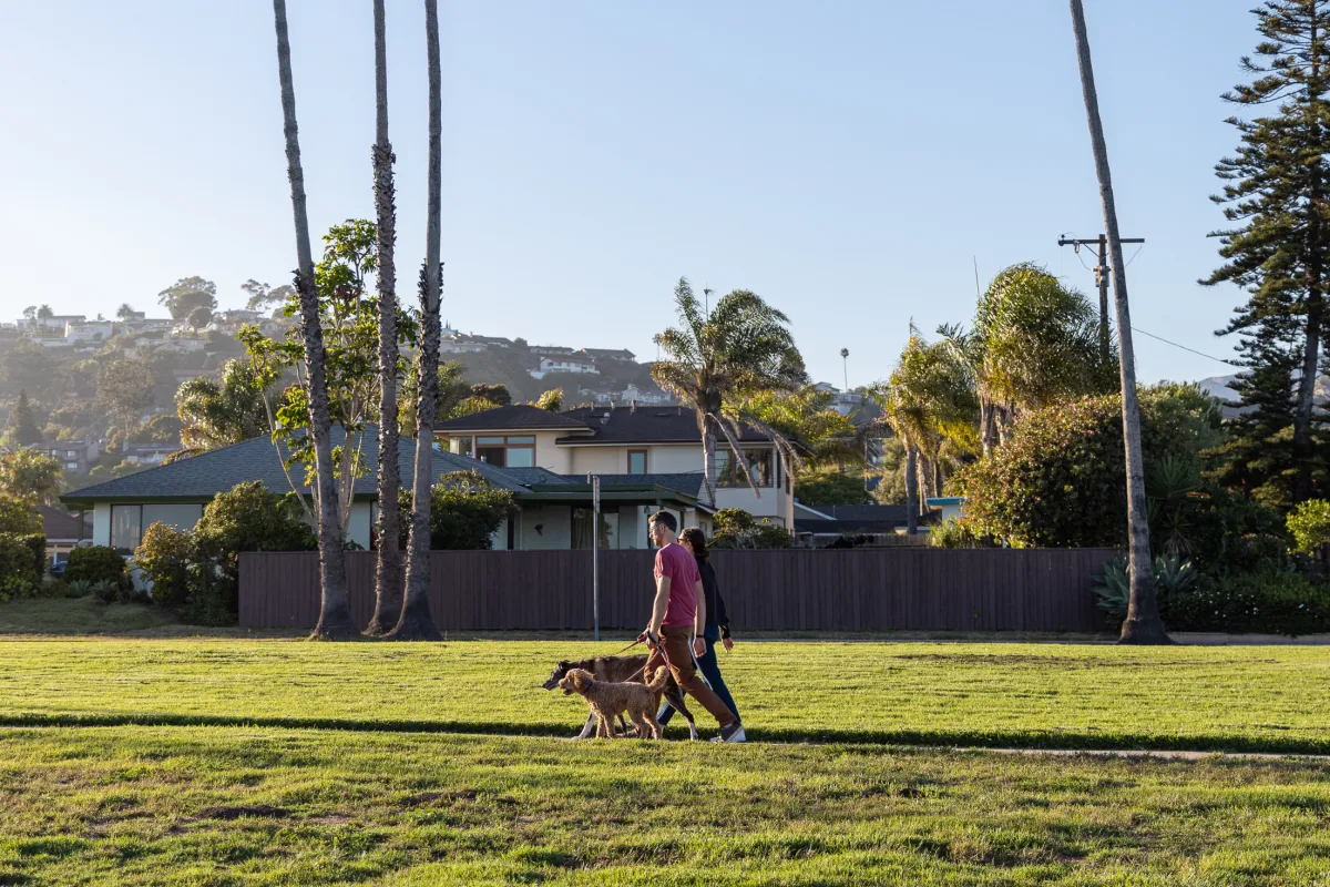 People walking their dogs on leash in Shoreline Park