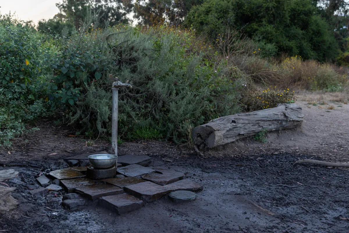 Douglas Family Preserve dog water fountain