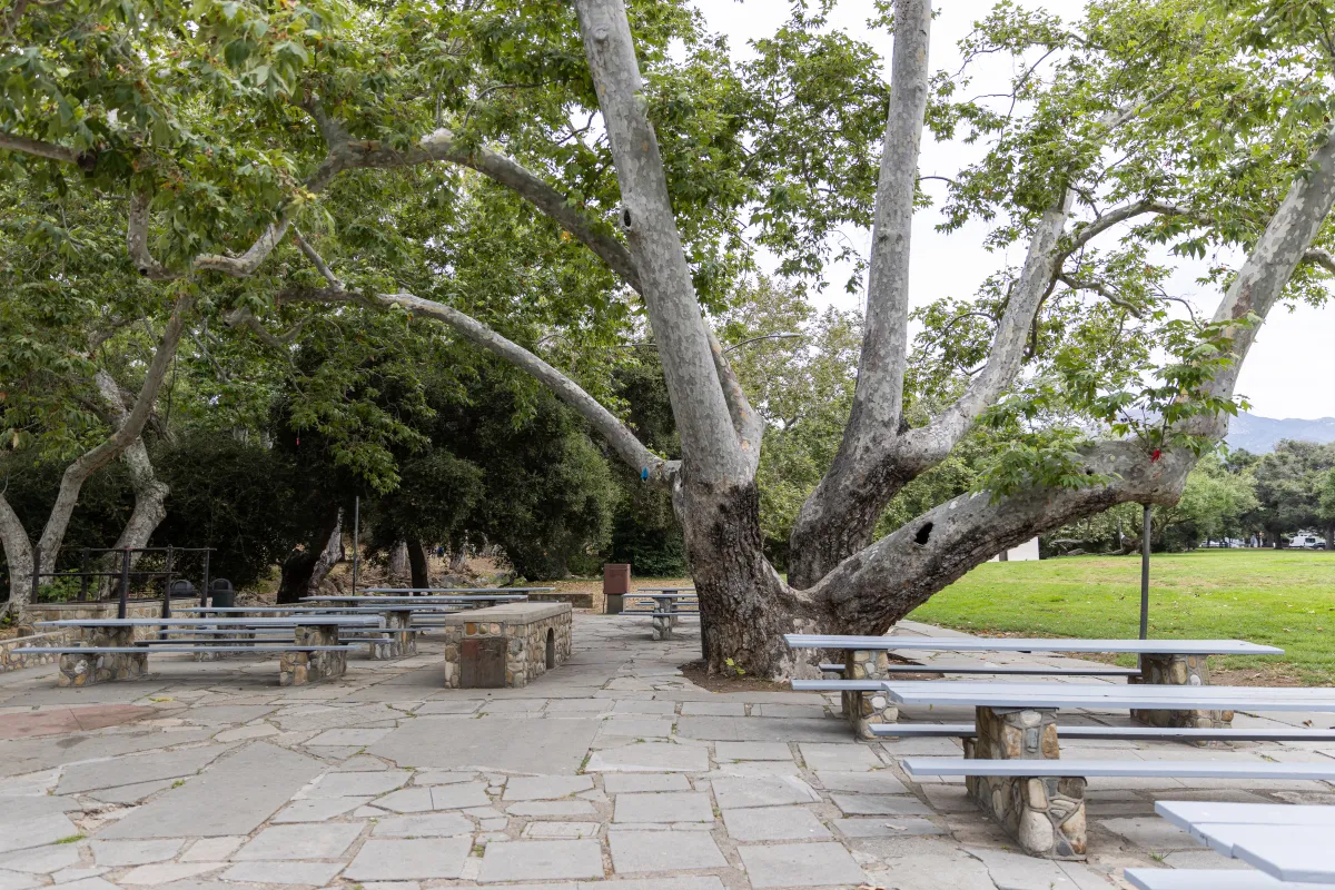 Oak Park Sycamore Picnic Area