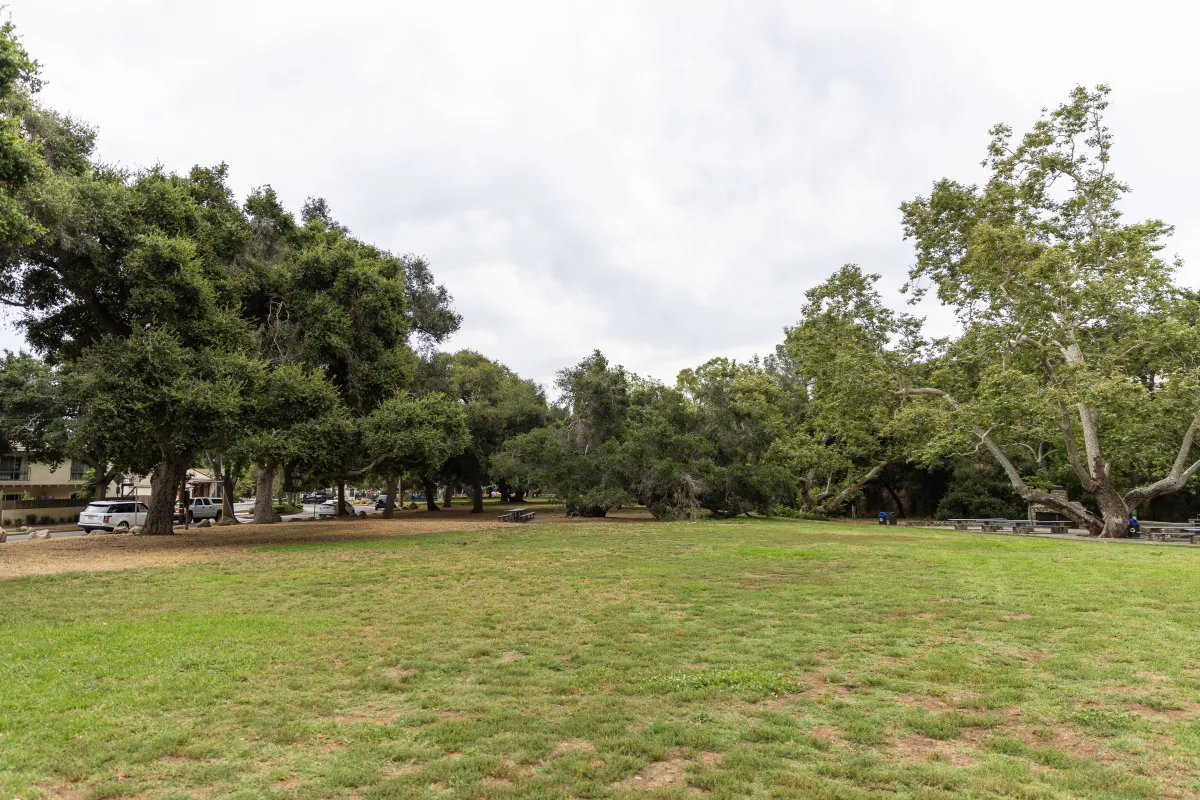 Oak Park grassy area lined with oak trees