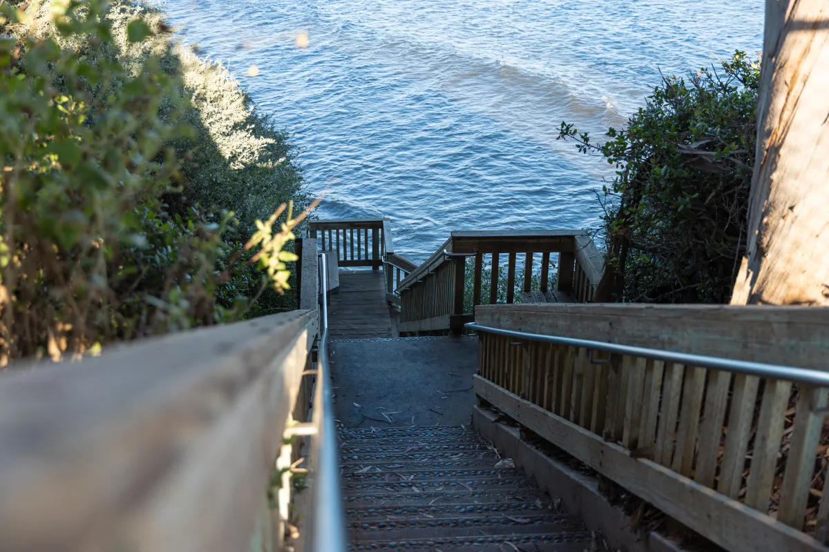 Shoreline Steps leading down to the beach below