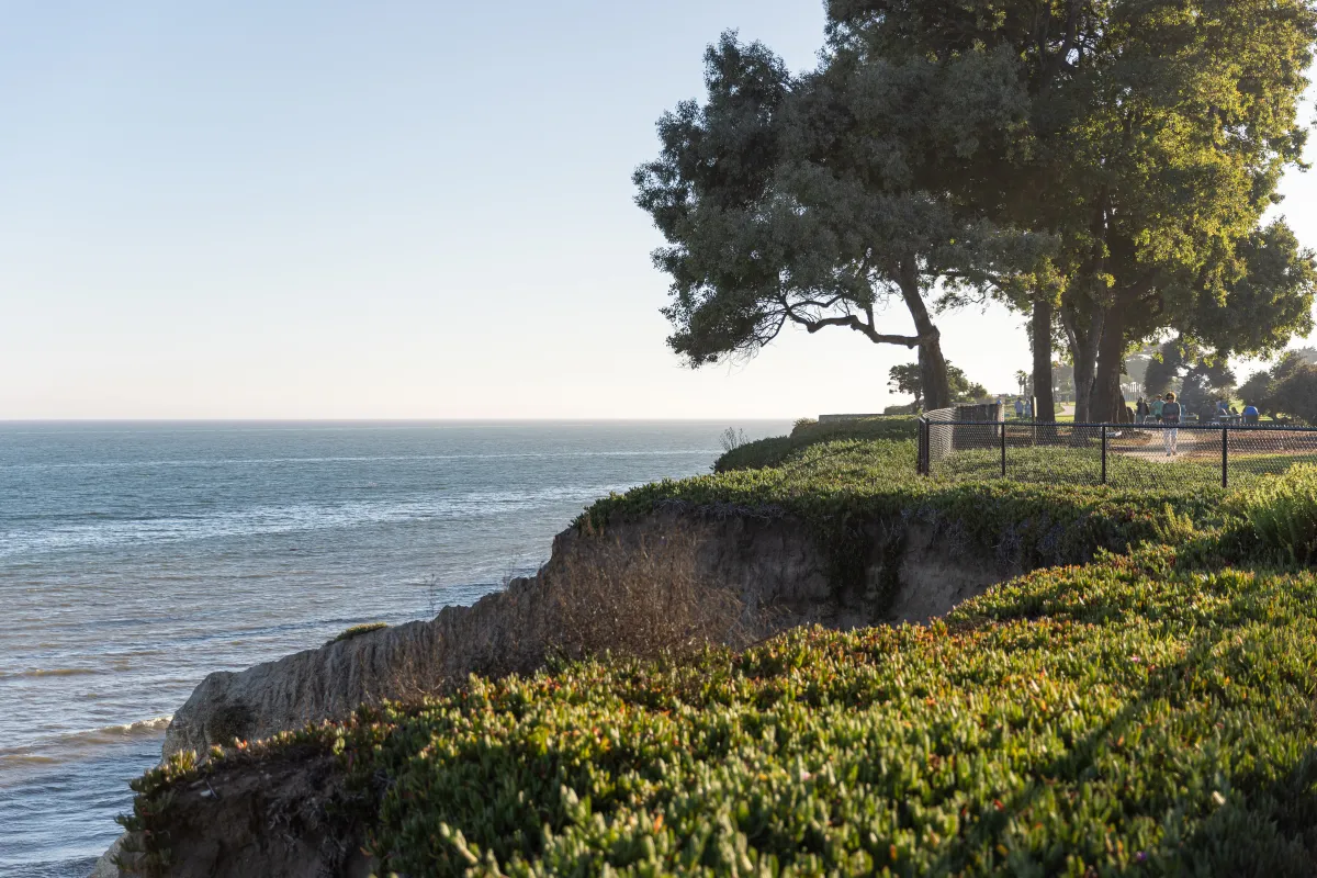 Shoreline Park cliffside overlooking the ocean