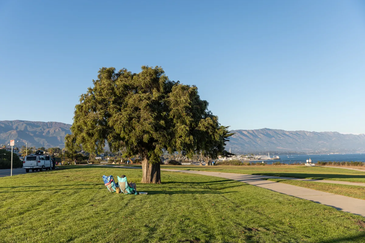 Two community members sitting in lawn chairs under a tree at Shoreline Park