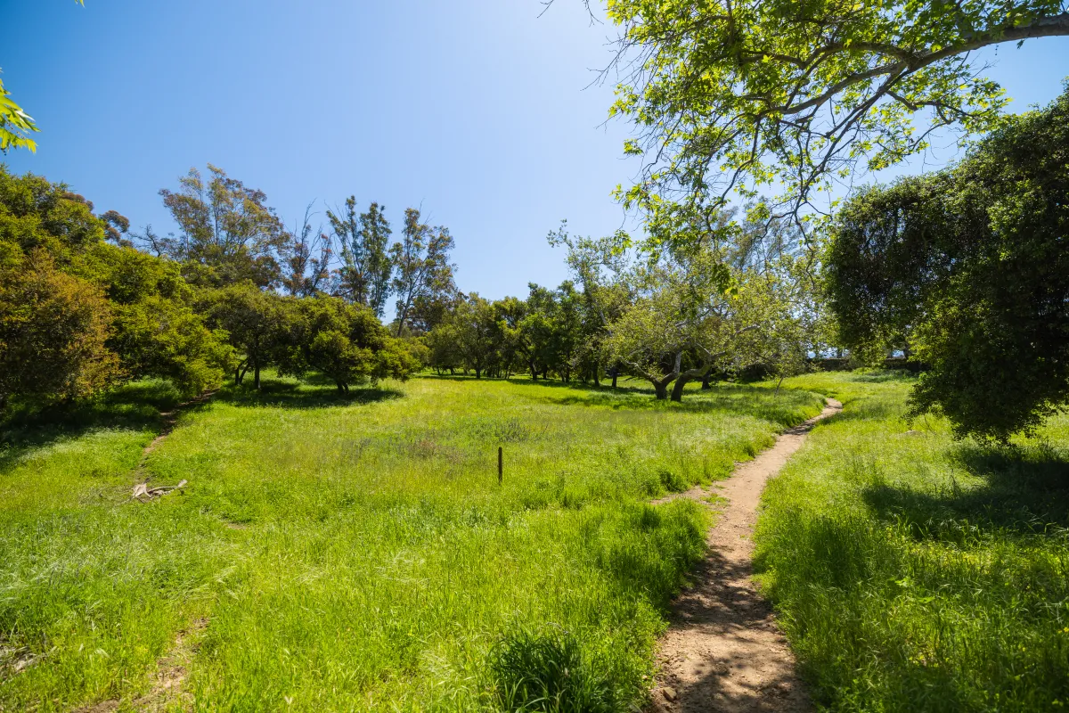 Walking trail at Mission Historical Park and luscious green grass on either side of the trail