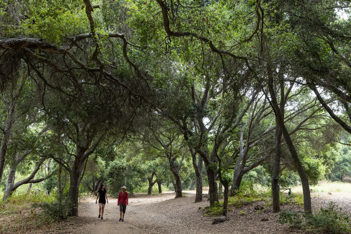 A dirt trail within Stevens Park