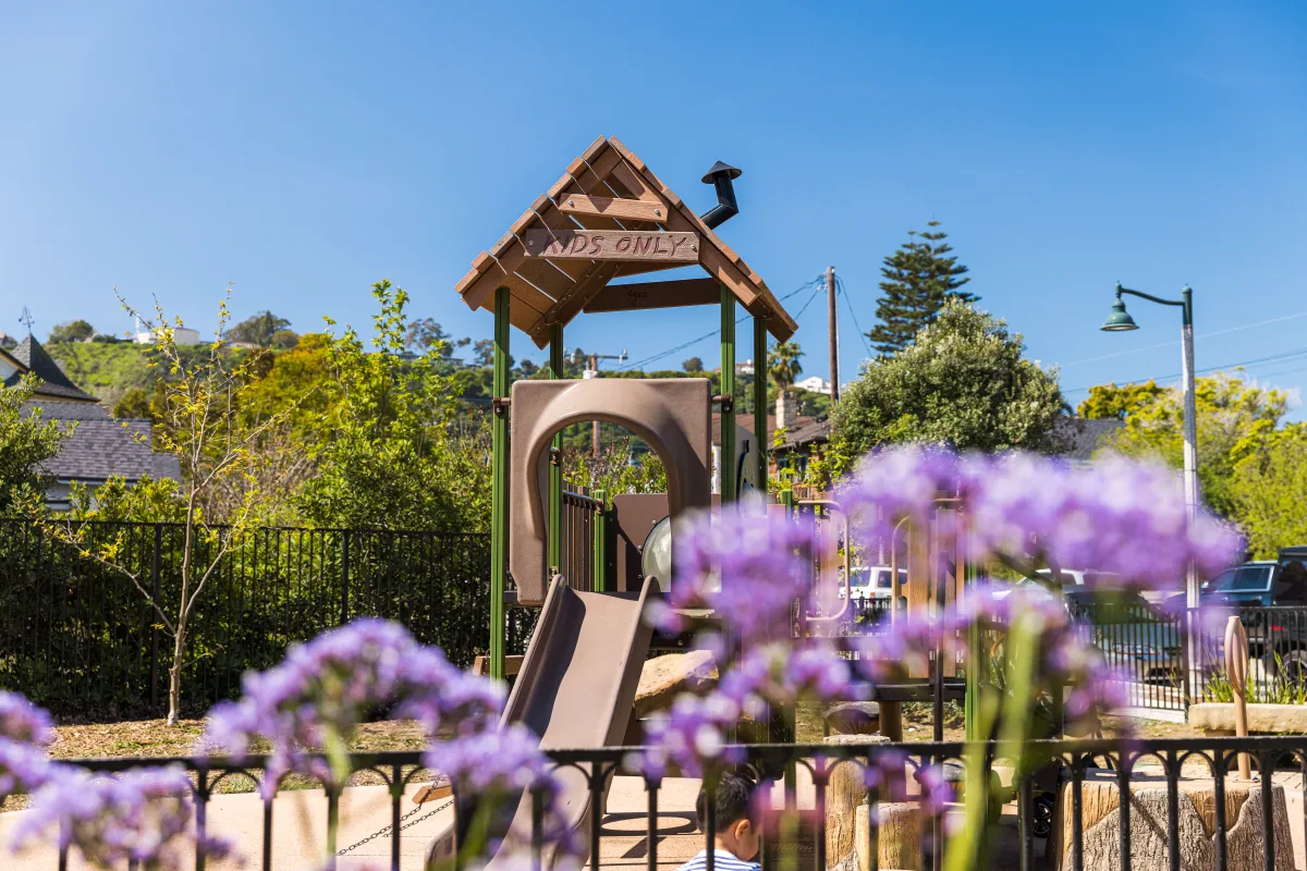 Bath Street Pocket Park play structure with purple flowers in foreground