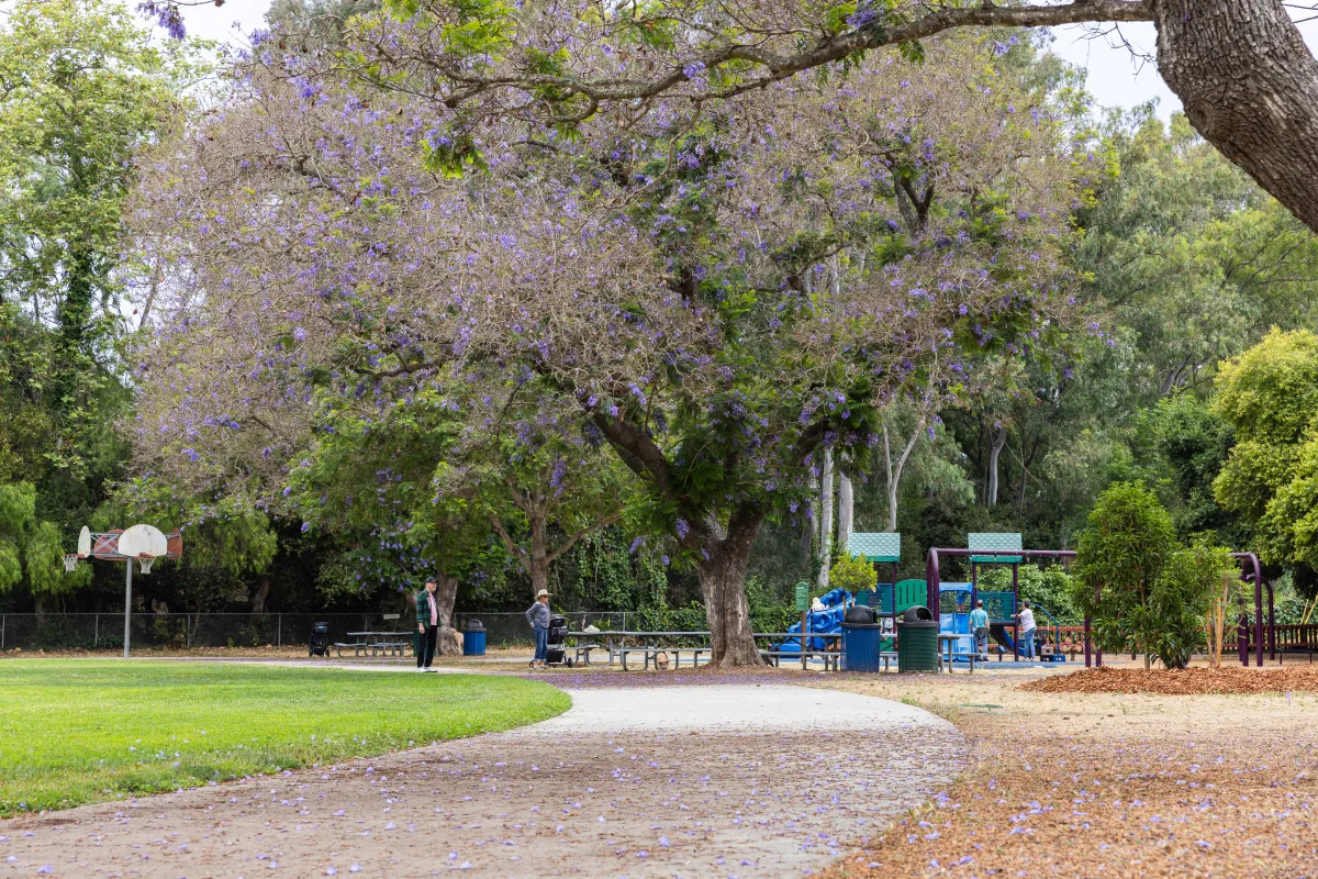 Willowglen Park pathways and trees