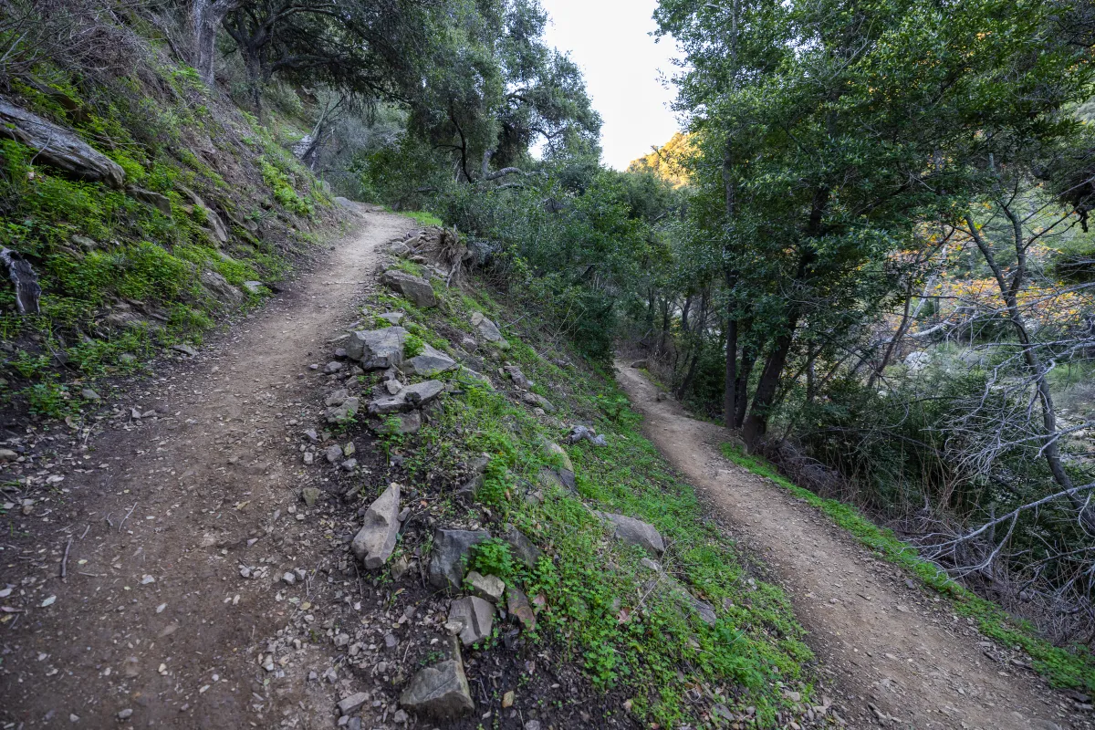 Cold Spring Trail switchback