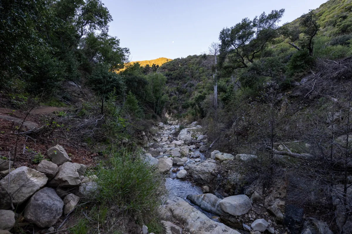 Cold Spring Trail rocky terrain