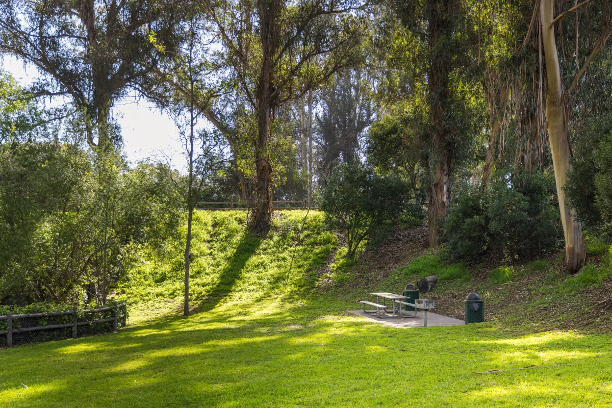 Open grassy area in Hidden Valley Park