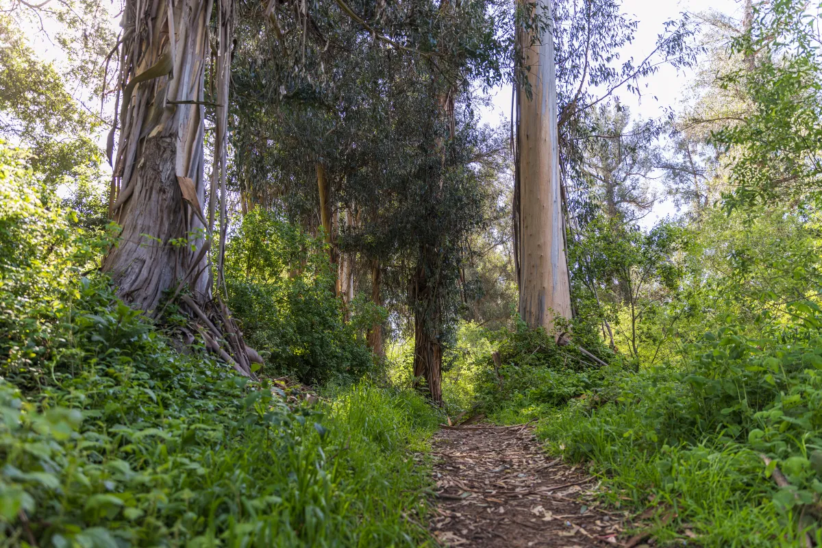 Hiking trail in Hidden Valley Park