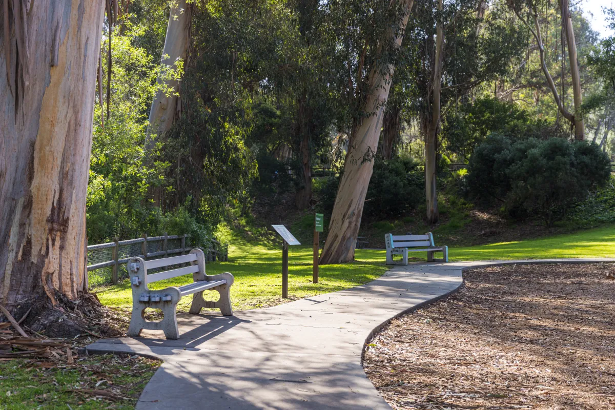 Benches and a pathway in Hidden Valley Park