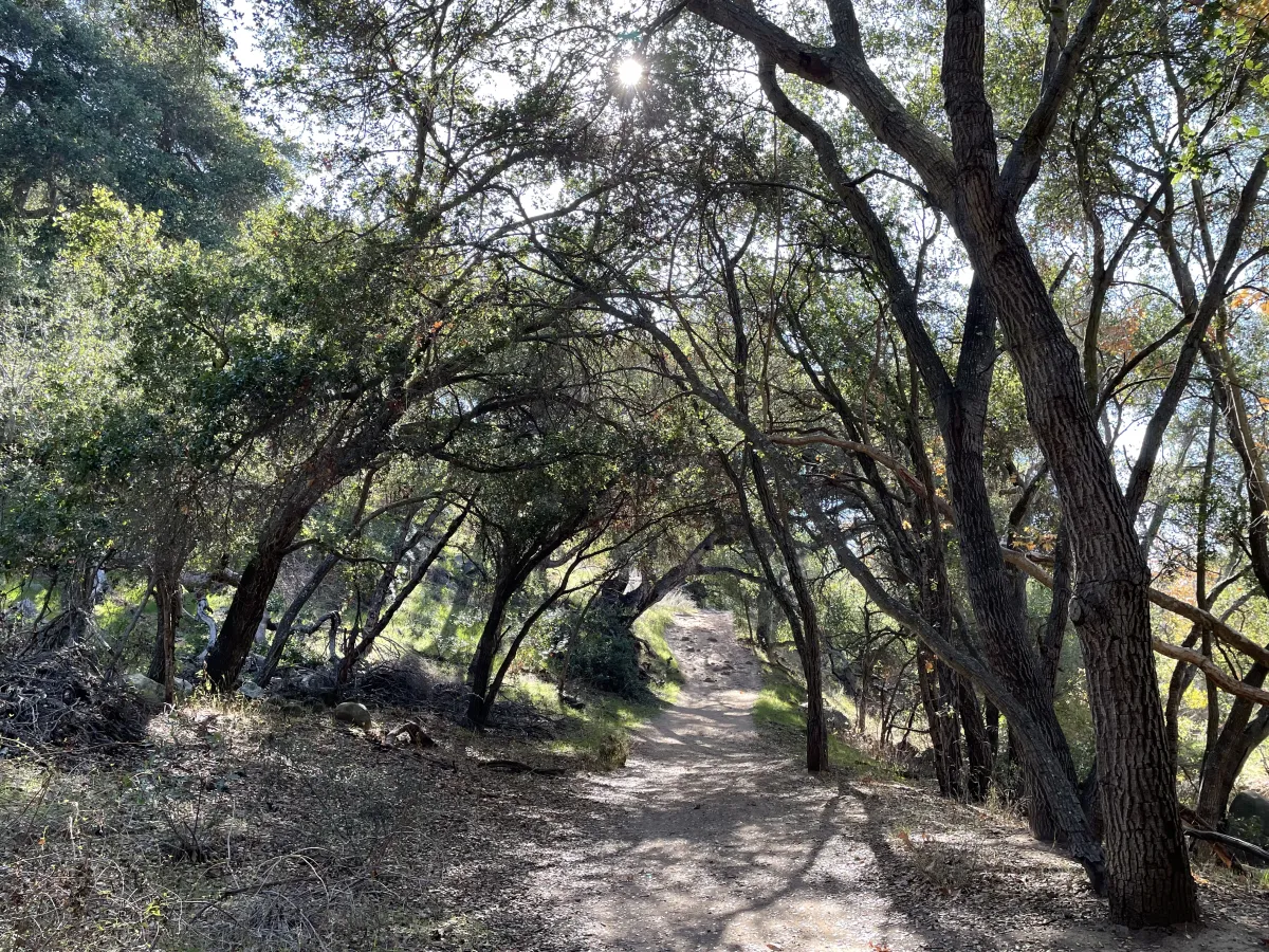 Stevens Park Trail