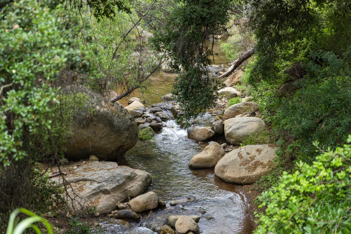 A creek along Jesusita Trail