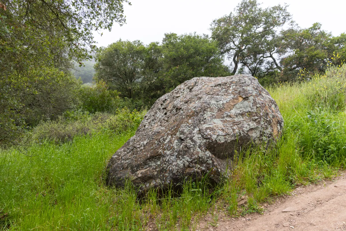A boulder along Jesusita Trail