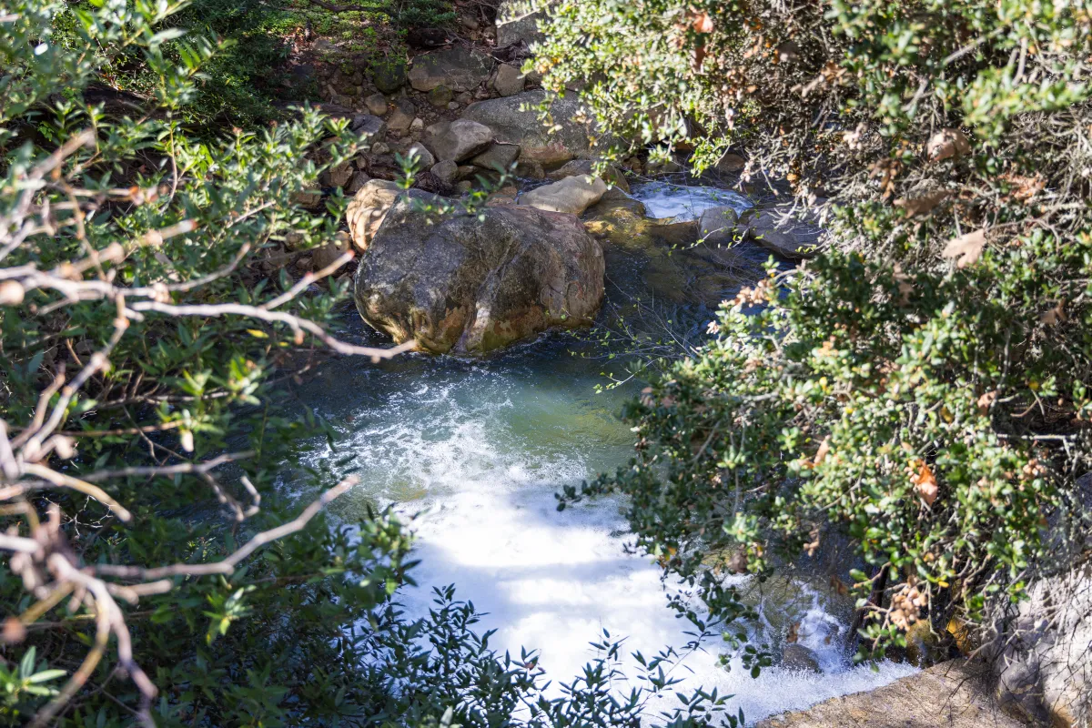 Close up of the river flowing through Rattlesnake Canyon