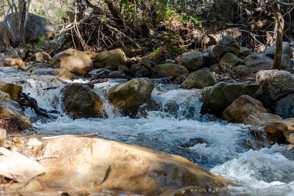 Rattlesnake Canyon flowing stream