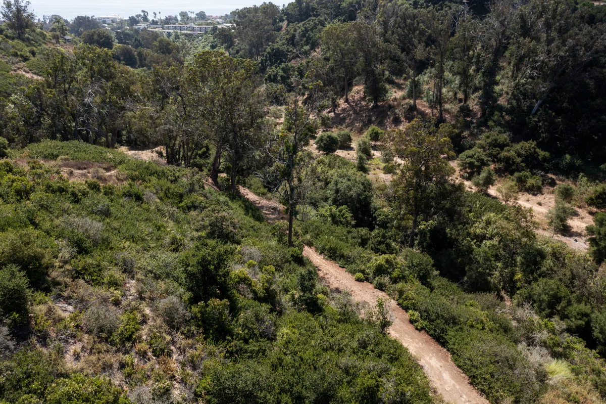 Honda Valley Park trails with lush greenery surrounding