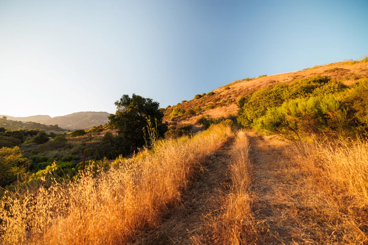 trail in Laurel Canyon Park