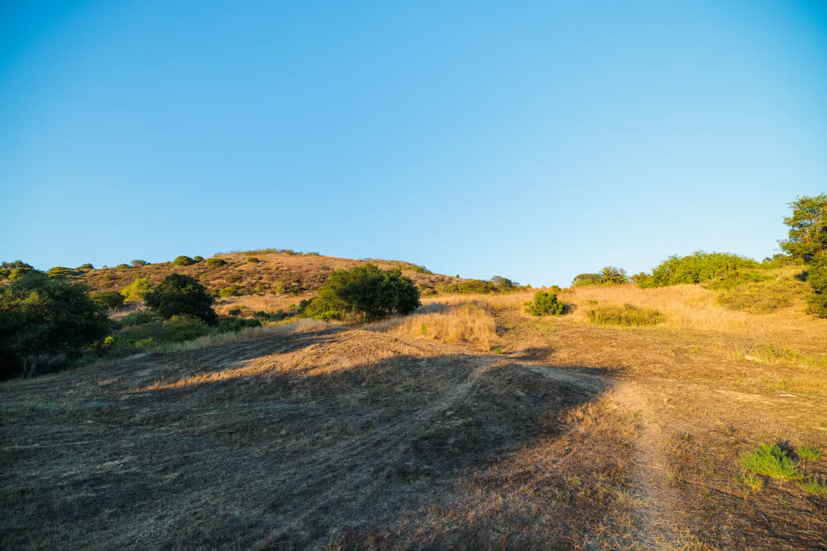 Laurel Canyon Park open space