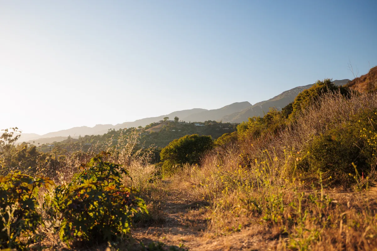 Trail in Laurel Canyon Park close to sunset
